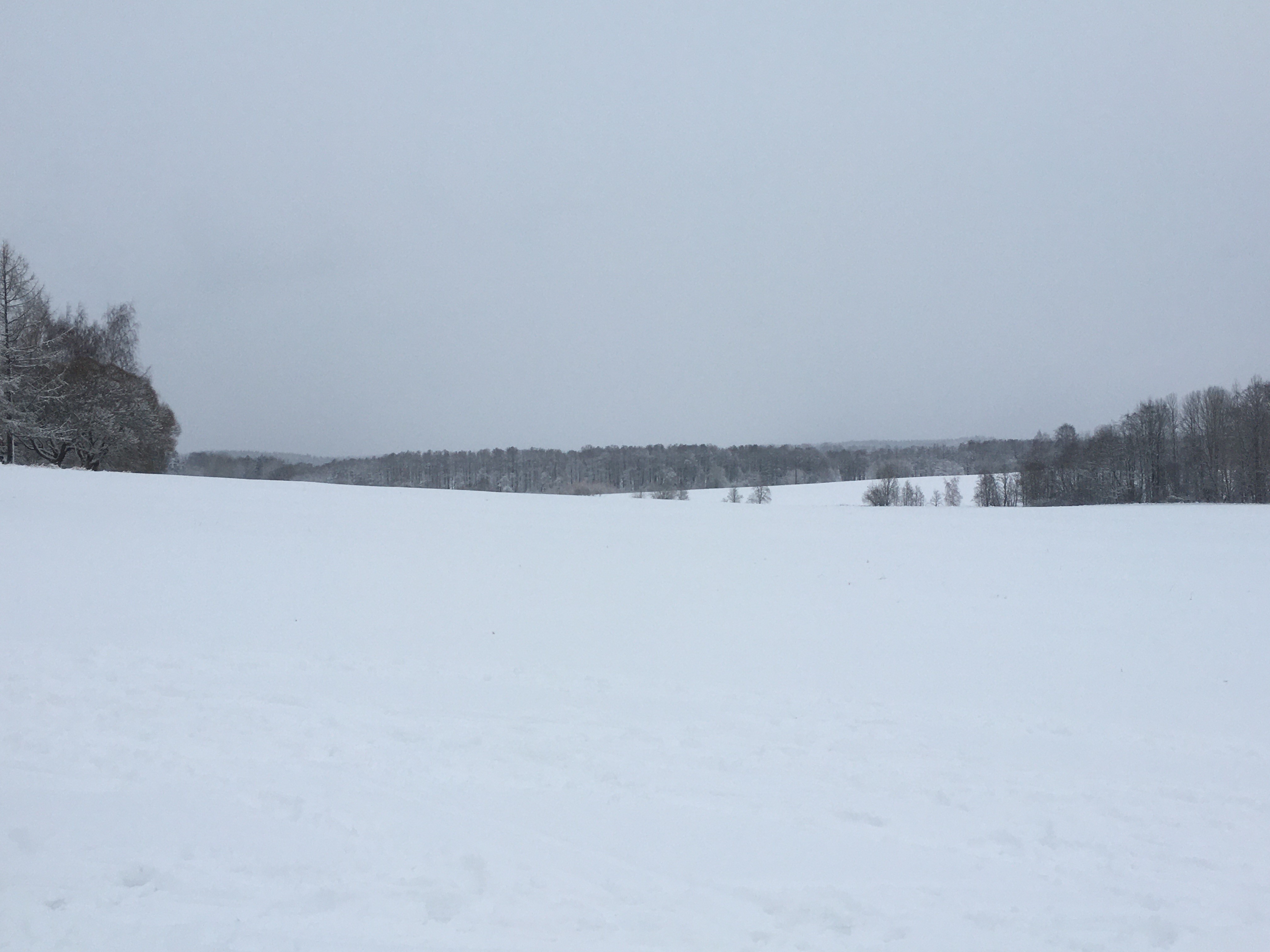 Kuvassa talvinen maisema