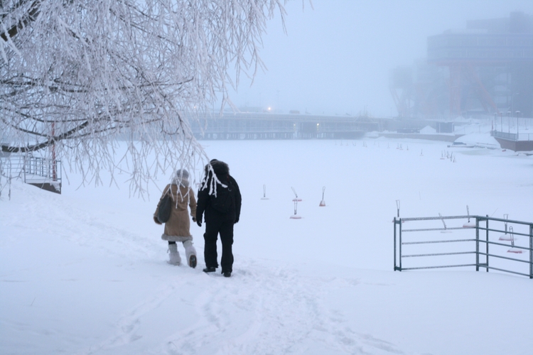 Ett par som promenerar i vintrigt landskap