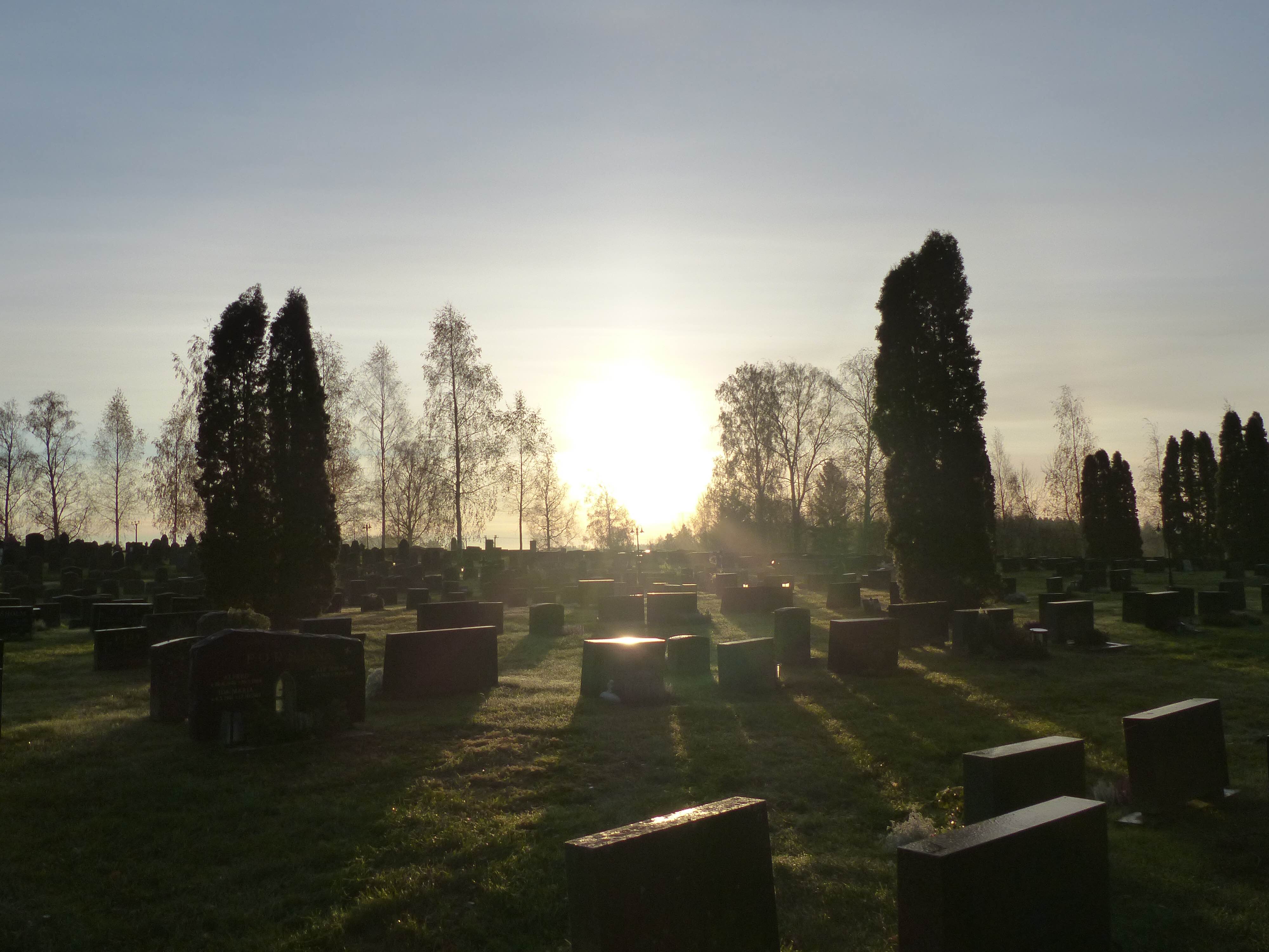 gravgård på morgon i motljus