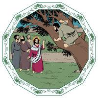 Kuva Raamatun tapahtumasta, jossa Sakkeus on kiivennyt puuhun nähdäkseen Jeesuksen paremmin. 