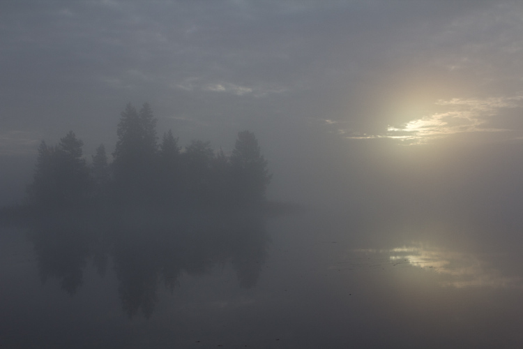 Aamuinen usva järvellä