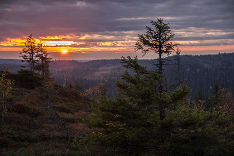 Auringonlasku - sana sinulle hartaus