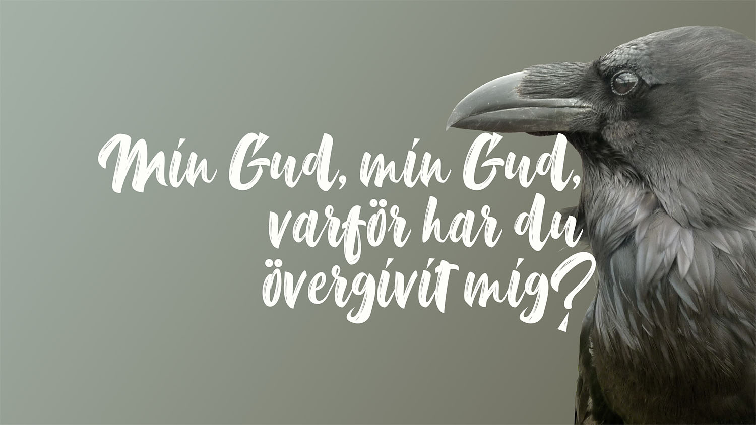 En korp mot grå bakgrund och texten ”Min Gud, min Gud, varför har du övergivit mig?”.