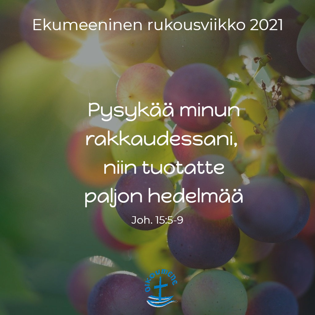 Viinirypälepensas ja Raamatun teksti.