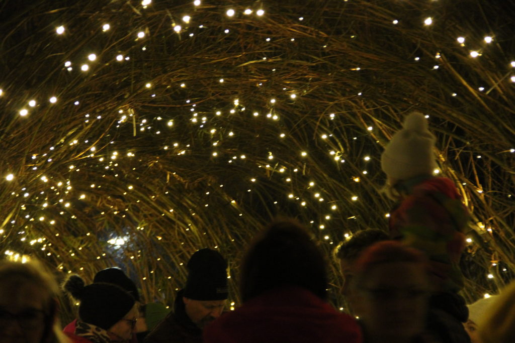 Valoa-kampanjaan liittyvä valotunneli Kotkassa puistossa vuonna 2017