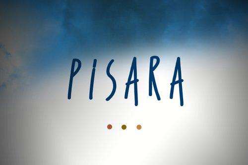Hartausohjelma Pisaran logo.