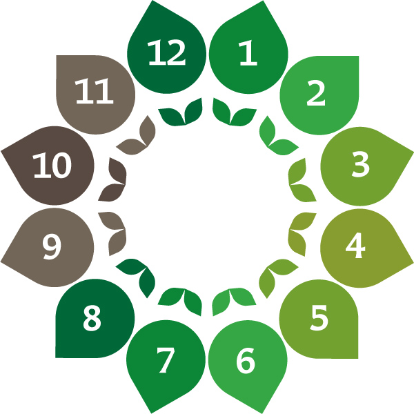 Vuosikellopohja, jossa ympyrän kehällä tyyliteltyjä lehden muotoja sekä numerot 1-12.