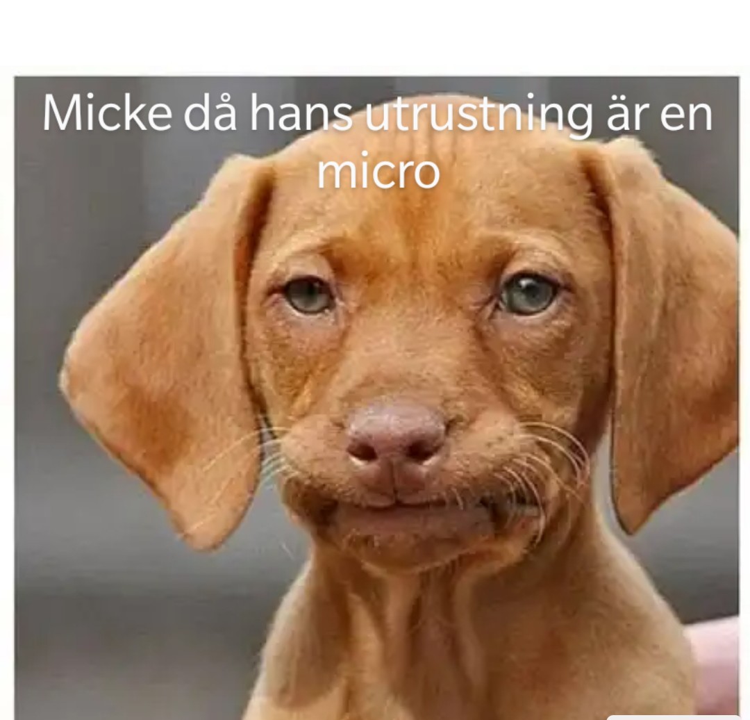 Bild på hundvalp som biter sig i läppen och texten: Micke då hans utrustning är en mikro.