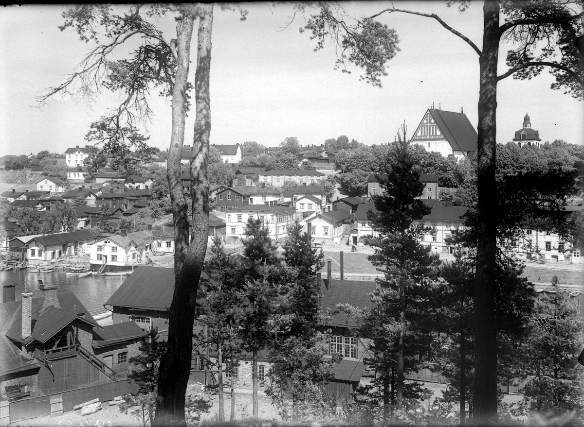 Svartvitt fotografi i förgrunden träd och byggnader, sedan ån och i bakgrunden Borgå domkyrka.