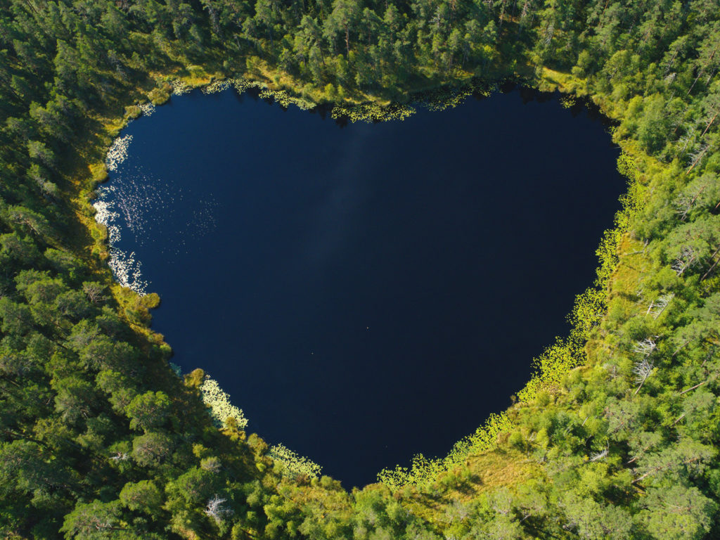 Flygfoto av en liten hjärtformad sjö omgiven av barrskog.