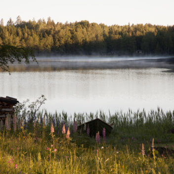 Sommarkväll vid en liten sjö omgiven av skog och blomsterängar.