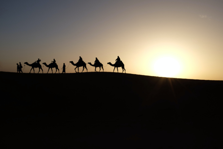 Siluetter av kameler och ryttare som går på rad längs en sanddyn.