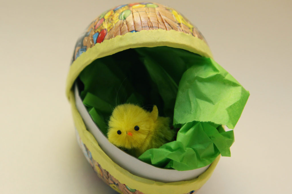 a yellow chick in an Easter egg