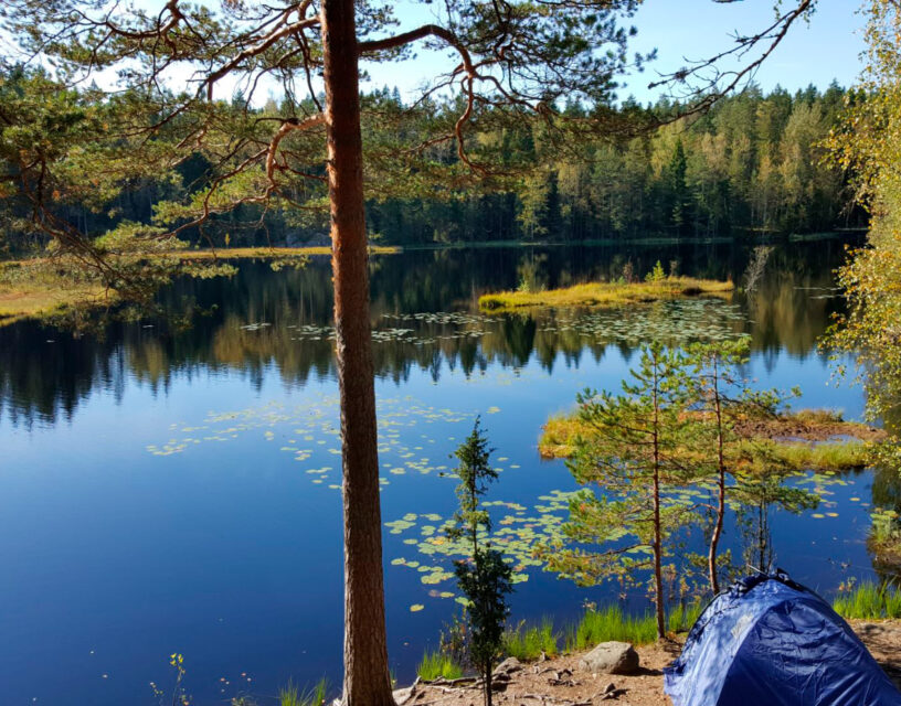 Tältplats vid spegelblankt skogsträsk.