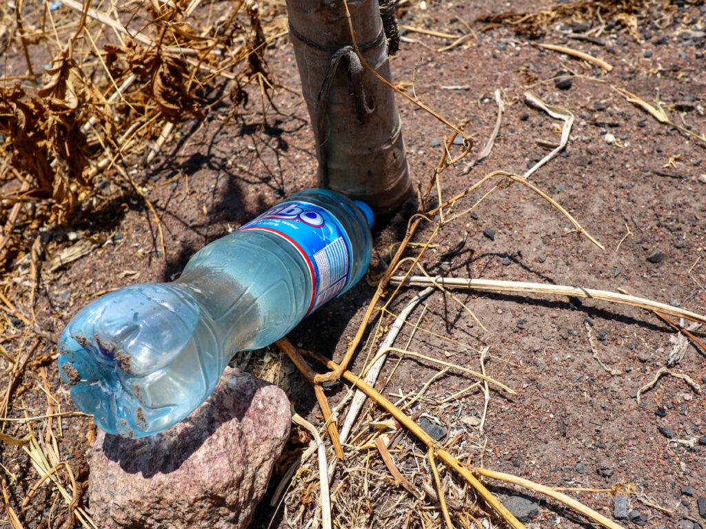 Plastflaska med vatten vid roten av ett litet träd.