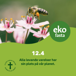 En geting flyger ovanför en blomma och texten. 12.4 Alla levande varelser har sin plats på vår planet.